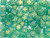 CzechMates Glass 6mm 4-Hole Luster Iris Atlantis Green QuadraTile Bead 2.5-Inch Tube CzechMates Glass 6mm 4-Hole Luster Iris Atlantis Green QuadraTile Bead 2.5-Inch Tube