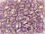 CzechMates Glass 3 x 6mm 2-Hole Luster Iris Milky Amethyst Bar Bead 2.5-Inch Tube CzechMates Glass 3 x 6mm 2-Hole Luster Iris Milky Amethyst Bar Bead 2.5-Inch Tube