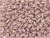 CzechMates Glass 3 x 6mm 2-Hole Pacifica Fig Bar Bead 2.5-Inch Tube CzechMates Glass 3 x 6mm 2-Hole Pacifica Fig Bar Bead 2.5-Inch Tube