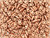 CzechMates Glass 3 x 6mm 2-Hole Matte Metallic Copper Bar Bead 2.5-Inch Tube CzechMates Glass 3 x 6mm 2-Hole Matte Metallic Copper Bar Bead 2.5-Inch Tube