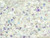 CzechMates Glass 3 x 6mm 2-Hole Crystal AB Bar Bead 2.5-Inch Tube CzechMates Glass 3 x 6mm 2-Hole Crystal AB Bar Bead 2.5-Inch Tube