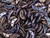 CzechMates Glass 4x10mm 2-Hole Metallic Amethyst Luster Crescent Bead (2.5-Inch Tube) CzechMates Glass 4x10mm 2-Hole Metallic Amethyst Luster Crescent Bead (2.5-Inch Tube)