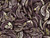 CzechMates Glass 4x10mm 2-Hole Opaque Purple with Bronze Picasso Crescent Bead (2.5-Inch Tube) CzechMates Glass 4x10mm 2-Hole Opaque Purple with Bronze Picasso Crescent Bead (2.5-Inch Tube)