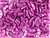 CzechMates Glass 4 x 10mm 2-Hole ColorTrends Saturated Metallic Pink Yarrow Crescent Bead 2.5-Inch Tube CzechMates Glass 4 x 10mm 2-Hole ColorTrends Saturated Metallic Pink Yarrow Crescent Bead 2.5-Inch Tube