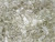 CzechMates Glass 4x10mm 2-Hole Black Diamond Crescent Bead, 2.5-Inch Tube CzechMates Glass 4x10mm 2-Hole Black Diamond Crescent Bead, 2.5-Inch Tube