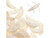 CzechMates Glass, 2-Hole Crescent Beads 10x4.5mm, Opaque Champagne Luster CzechMates Glass, 2-Hole Crescent Beads 10x4.5mm, Opaque Champagne Luster