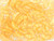 CzechMates Glass 4 x 10mm 2-Hole Honey Shimmer Crescent Bead 2.5-Inch Tube CzechMates Glass 4 x 10mm 2-Hole Honey Shimmer Crescent Bead 2.5-Inch Tube