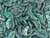 CzechMates Glass 4x10mm 2-Hole Turquoise with Bronze Picasso Crescent Bead, 2.5-Inch Tube CzechMates Glass 4x10mm 2-Hole Turquoise with Bronze Picasso Crescent Bead, 2.5-Inch Tube
