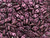 CzechMates Diamond 4 x 6mm Polychrome Pink Olive Czech Glass 2-Hole Beads, 2.5-Inch Tube CzechMates Diamond 4 x 6mm Polychrome Pink Olive Czech Glass 2-Hole Beads, 2.5-Inch Tube