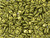 CzechMates Diamond 4 x 6mm ColorTrends Saturated Metallic Meadowlark Czech Glass 2-Hole Beads, 2.5-Inch Tube CzechMates Diamond 4 x 6mm ColorTrends Saturated Metallic Meadowlark Czech Glass 2-Hole Beads, 2.5-Inch Tube