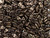 CzechMates Diamond 4 x 6mm Dark Bronze Czech Glass 2-Hole Beads, 2.5-Inch Tube CzechMates Diamond 4 x 6mm Dark Bronze Czech Glass 2-Hole Beads, 2.5-Inch Tube