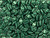 CzechMates Diamond 4 x 6mm ColorTrends Saturated Metallic Martini Olive Czech Glass 2-Hole Bead 2.5-Inch Tube CzechMates Diamond 4 x 6mm ColorTrends Saturated Metallic Martini Olive Czech Glass 2-Hole Bead 2.5-Inch Tube