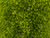 Matubo SuperDuo 2 x 5mm Olivine 2-Hole Seed Bead 2.5-Inch Tube Matubo SuperDuo 2 x 5mm Olivine 2-Hole Seed Bead 2.5-Inch Tube