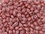 Matubo SuperDuo 2 x 5mm Mauve Pearl Shine 2-Hole Seed Bead 2.5-Inch Tube Matubo SuperDuo 2 x 5mm Mauve Pearl Shine 2-Hole Seed Bead 2.5-Inch Tube