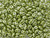 Matubo SuperDuo Opaque Olive Luster 2-Hole 2 x 5mm Seed Bead 2.5-Inch Tube Matubo SuperDuo Opaque Olive Luster 2-Hole 2 x 5mm Seed Bead 2.5-Inch Tube