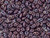 Matubo SuperDuo 2 x 5mm Opaque Amethyst Nebula 2-Hole Seed Bead 2.5-Inch Tube Matubo SuperDuo 2 x 5mm Opaque Amethyst Nebula 2-Hole Seed Bead 2.5-Inch Tube