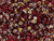 Matubo SuperDuo 2 x 5mm Apollo Ruby 2-Hole Seed Bead 2.5-Inch Tube Matubo SuperDuo 2 x 5mm Apollo Ruby 2-Hole Seed Bead 2.5-Inch Tube