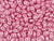 Matubo SuperDuo 2 x 5mm Flamingo Pearl Coat 2-Hole Seed Bead 2.5-Inch Tube Matubo SuperDuo 2 x 5mm Flamingo Pearl Coat 2-Hole Seed Bead 2.5-Inch Tube