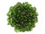 Matubo SuperDuo 2 x 5mm Green - Vega 2-Hole Seed Bead 2.5-Inch Tube Matubo SuperDuo 2 x 5mm Green - Vega 2-Hole Seed Bead 2.5-Inch Tube