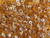 Matubo SuperDuo 2x5mm 2-Hole Topaz Celsian Seed Bead, 2.5 Inch Tube Matubo SuperDuo 2x5mm 2-Hole Topaz Celsian Seed Bead, 2.5 Inch Tube