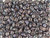 Matubo SuperDuo 2 x 5mm Ashen Gray Nebula 2-Hole Seed Bead 2.5-Inch Tube Matubo SuperDuo 2 x 5mm Ashen Gray Nebula 2-Hole Seed Bead 2.5-Inch Tube