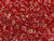 Matubo SuperDuo 2x5mm 2-Hole Marbled Gold Siam Ruby Seed Bead 2.5-Inch Tube Matubo SuperDuo 2x5mm 2-Hole Marbled Gold Siam Ruby Seed Bead 2.5-Inch Tube