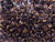 Matubo SuperDuo 2 x 5mm Tanzanite Half Bronze Luster 2-Hole Seed Bead 2.5-Inch Tube Matubo SuperDuo 2 x 5mm Tanzanite Half Bronze Luster 2-Hole Seed Bead 2.5-Inch Tube
