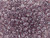 Matubo SuperDuo 2 x 5mm Amethyst Luster 2-Hole Seed Bead 2.5-Inch Tube Matubo SuperDuo 2 x 5mm Amethyst Luster 2-Hole Seed Bead 2.5-Inch Tube