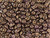 Matubo SuperDuo 2 x 5mm Dark Purple Gold Shine 2-Hole Seed Bead 2.5-Inch Tube Matubo SuperDuo 2 x 5mm Dark Purple Gold Shine 2-Hole Seed Bead 2.5-Inch Tube