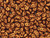 Matubo SuperDuo 2 x 5mm ColorTrends Saturated Metallic Russet Orange 2-Hole Seed Bead 2.5-Inch Tube Matubo SuperDuo 2 x 5mm ColorTrends Saturated Metallic Russet Orange 2-Hole Seed Bead 2.5-Inch Tube