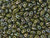 Matubo SuperDuo 2 x 5mm Opaque Olivine Nebula 2-Hole Seed Bead 2.5-Inch Tube Matubo SuperDuo 2 x 5mm Opaque Olivine Nebula 2-Hole Seed Bead 2.5-Inch Tube