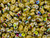 Matubo SuperDuo 2 x 5mm Opaque Beige - Vitral 2-Hole Seed Bead 2.5-Inch Tube Matubo SuperDuo 2 x 5mm Opaque Beige - Vitral 2-Hole Seed Bead 2.5-Inch Tube