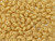 Matubo SuperDuo 2 x 5mm Opaque Beige 2-Hole Seed Bead 2.5-Inch Tube Matubo SuperDuo 2 x 5mm Opaque Beige 2-Hole Seed Bead 2.5-Inch Tube