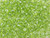 Matubo SuperDuo 2 x 5mm Olivine Luster 2-Hole Seed Bead 2.5-Inch Tube Matubo SuperDuo 2 x 5mm Olivine Luster 2-Hole Seed Bead 2.5-Inch Tube