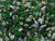 Matubo SuperDuo 2 x 5mm Matte Green Vitral 2-Hole Seed Bead 2.5-Inch Tube Matubo SuperDuo 2 x 5mm Matte Green Vitral 2-Hole Seed Bead 2.5-Inch Tube