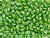Matubo SuperDuo 2 x 5mm Metalust Apple Green 2-Hole Seed Bead 2.5-Inch Tube Matubo SuperDuo 2 x 5mm Metalust Apple Green 2-Hole Seed Bead 2.5-Inch Tube