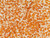 Matubo SuperDuo 2 x 5mm Dark Topaz-Lined Crystal 2-Hole Seed Bead 2.5-Inch Tube Matubo SuperDuo 2 x 5mm Dark Topaz-Lined Crystal 2-Hole Seed Bead 2.5-Inch Tube