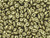 Matubo SuperDuo 2 x 5mm ColorTrends Saturated Metallic Limelight 2-Hole Seed Bead 2.5-Inch Tube