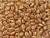 Matubo SuperDuo 2 x 5mm White Apricot 2-Hole Seed Bead 2.5-Inch Tube Matubo SuperDuo 2 x 5mm White Apricot 2-Hole Seed Bead 2.5-Inch Tube
