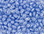 Matubo SuperDuo 2 x 5mm Baby Blue Pearl Coat 2-Hole Seed Bead 2.5-Inch Tube Matubo SuperDuo 2 x 5mm Baby Blue Pearl Coat 2-Hole Seed Bead 2.5-Inch Tube