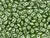 Matubo SuperDuo 2 x 5mm Olive Pearl Coat 2-Hole Seed Bead 2.5-Inch Tube Matubo SuperDuo 2 x 5mm Olive Pearl Coat 2-Hole Seed Bead 2.5-Inch Tube