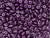 Matubo SuperDuo 2 x 5mm Purple Velvet Pearl Coat 2-Hole Seed Bead 2.5-Inch Tube Matubo SuperDuo 2 x 5mm Purple Velvet Pearl Coat 2-Hole Seed Bead 2.5-Inch Tube