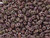 Matubo SuperDuo 2 x 5mm Opaque Light Amethyst Picasso 2-Hole Seed Bead 2.5-Inch Tube Matubo SuperDuo 2 x 5mm Opaque Light Amethyst Picasso 2-Hole Seed Bead 2.5-Inch Tube