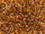 Matubo SuperDuo 2x5mm 2-Hole Smoky Topaz Seed Bead, 2.5 Inch Tube Matubo SuperDuo 2x5mm 2-Hole Smoky Topaz Seed Bead, 2.5 Inch Tube