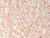 Matubo SuperDuo 2x5mm 2-Hole Rosaline Seed Bead, 2.5-Inch Tube Matubo SuperDuo 2x5mm 2-Hole Rosaline Seed Bead, 2.5-Inch Tube