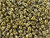 Matubo SuperDuo 2 x 5mm Polished Brass 2-Hole Seed Bead 2.5-Inch Tube Matubo SuperDuo 2 x 5mm Polished Brass 2-Hole Seed Bead 2.5-Inch Tube