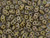 Matubo SuperDuo 2x5mm 2-Hole Opaque Olive Copper Picasso Seed Bead 2.5-Inch Tube Matubo SuperDuo 2x5mm 2-Hole Opaque Olive Copper Picasso Seed Bead 2.5-Inch Tube