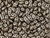 Matubo SuperDuo 2 x 5mm Brown Sugar Pearl Coat 2-Hole Seed Bead 2.5-Inch Tube Matubo SuperDuo 2 x 5mm Brown Sugar Pearl Coat 2-Hole Seed Bead 2.5-Inch Tube