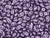 Matubo SuperDuo 2 x 5mm ColorTrends Saturated Metallic Crocus Petal 2-Hole Seed Bead 2.5-Inch Tube