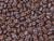 Matubo SuperDuo 2 x 5mm Opaque Umber Matte Nebula 2-Hole Seed Bead 2.5-Inch Tube Matubo SuperDuo 2 x 5mm Opaque Umber Matte Nebula 2-Hole Seed Bead 2.5-Inch Tube
